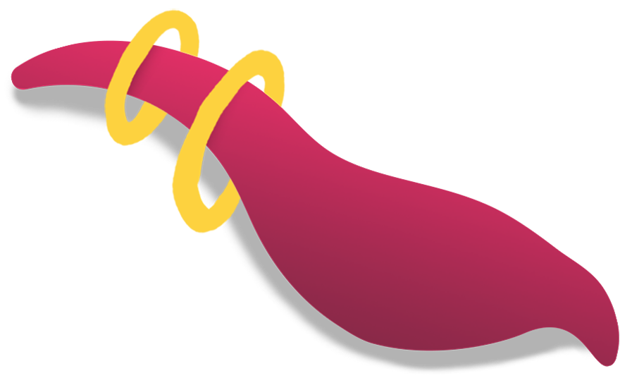 Program